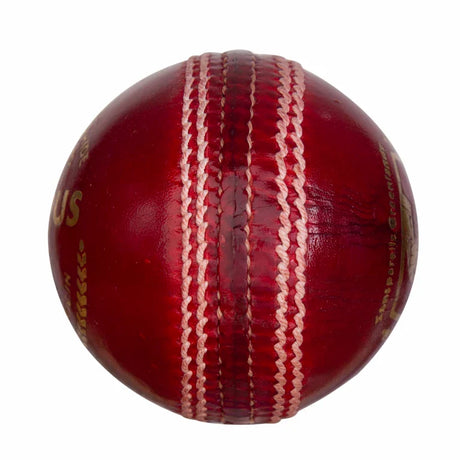 SG Campus Red Cricket Ball