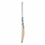 SG Nexus Plus Kashmir Willow Cricket Bat
