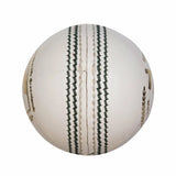 SG Test White Cricket Ball
