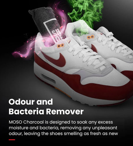 Charcoal Freshener | Shoegr