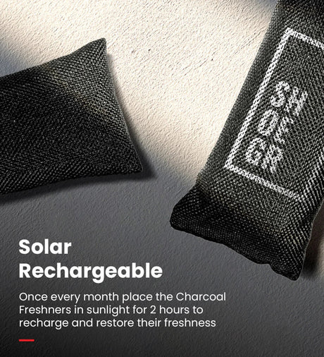 Charcoal Freshener | Shoegr