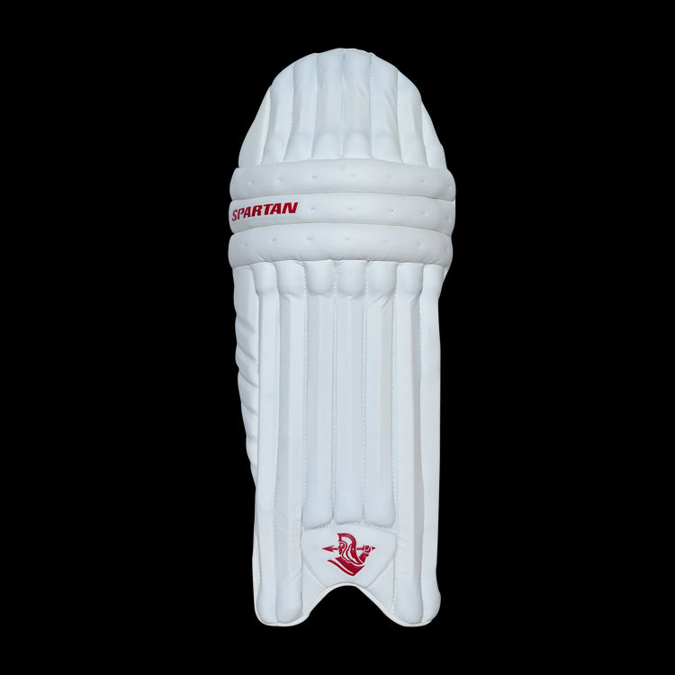 T20 SPECIAL