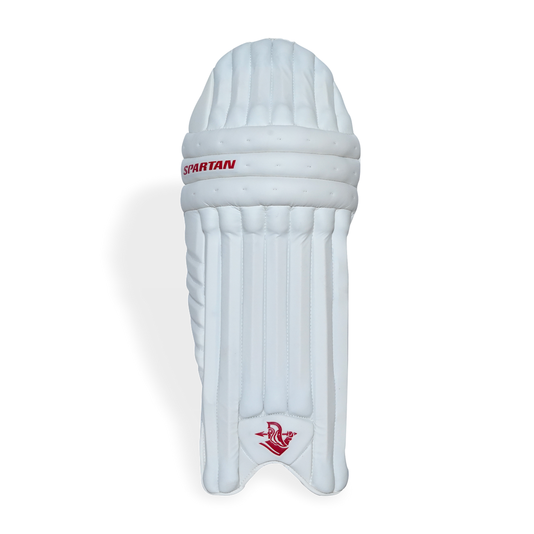 T20 SPECIAL