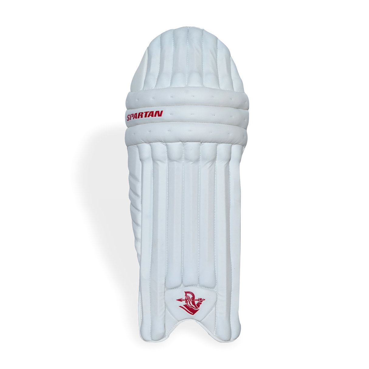 T20 SPECIAL