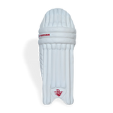 T20 SPECIAL