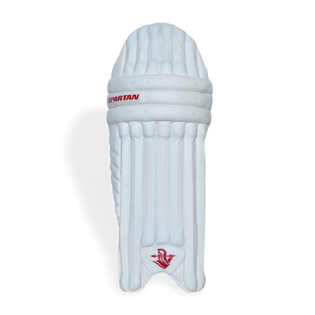 T20 SPECIAL