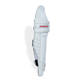 T20 SPECIAL