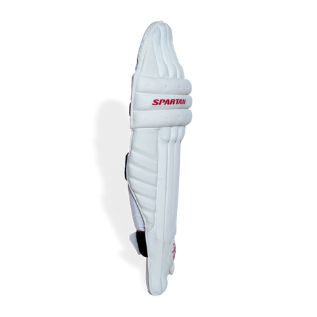 T20 SPECIAL