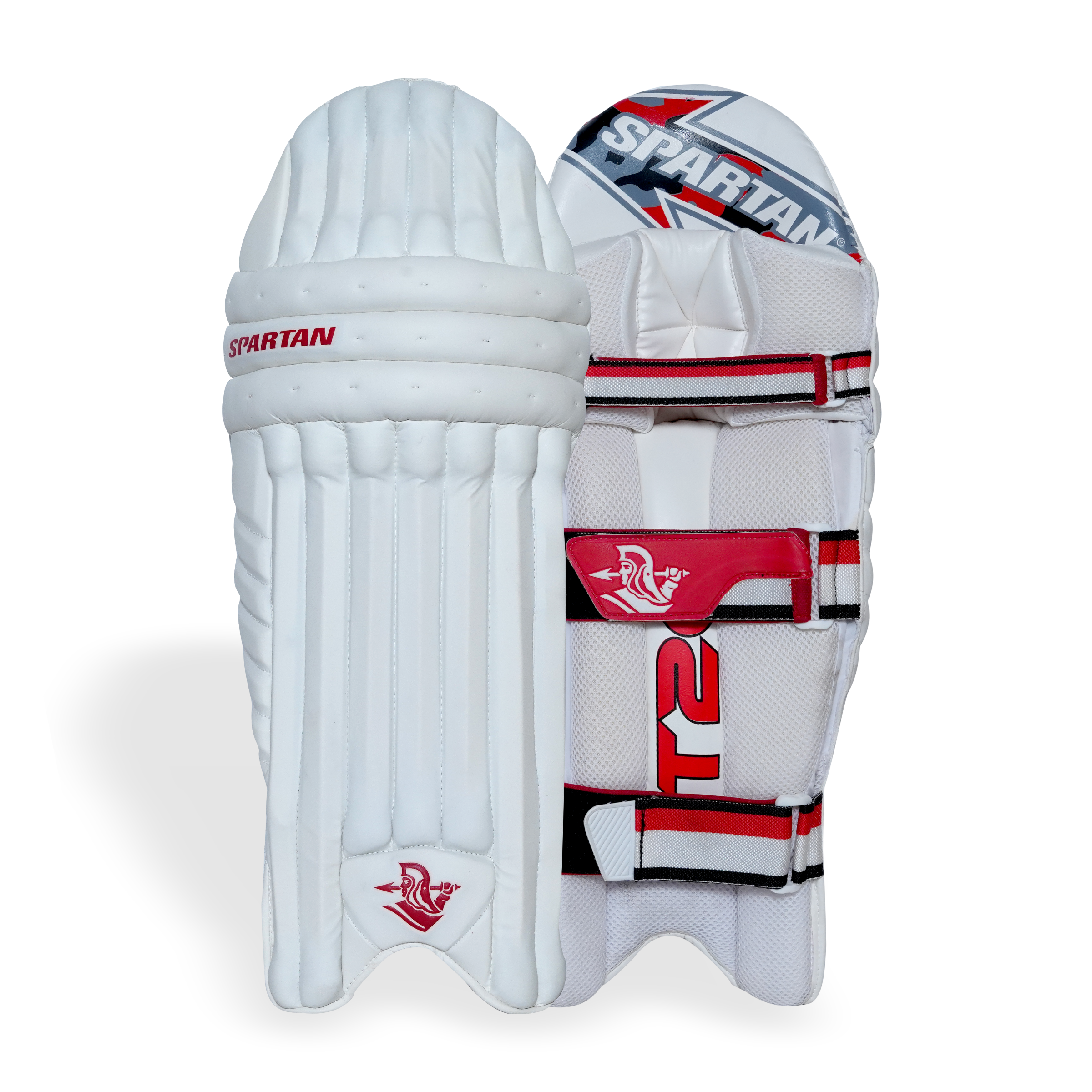 T20 SPECIAL