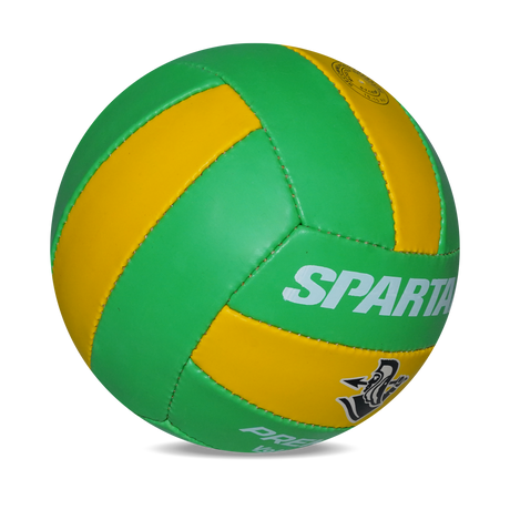 SPARTAN PREMIER 18 P COLOR