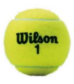 Wilson Champ Xd All Court Tennis Ball