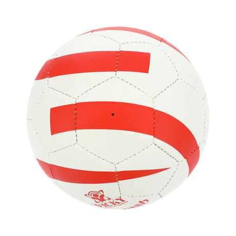 Vicky Smash Super Volley Ball | Kibi Sports