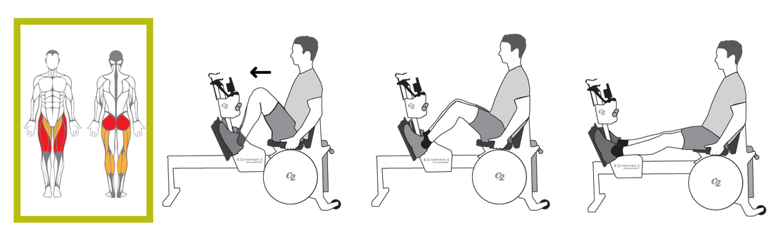CONCEPT2 STRENGTHERG - 2800