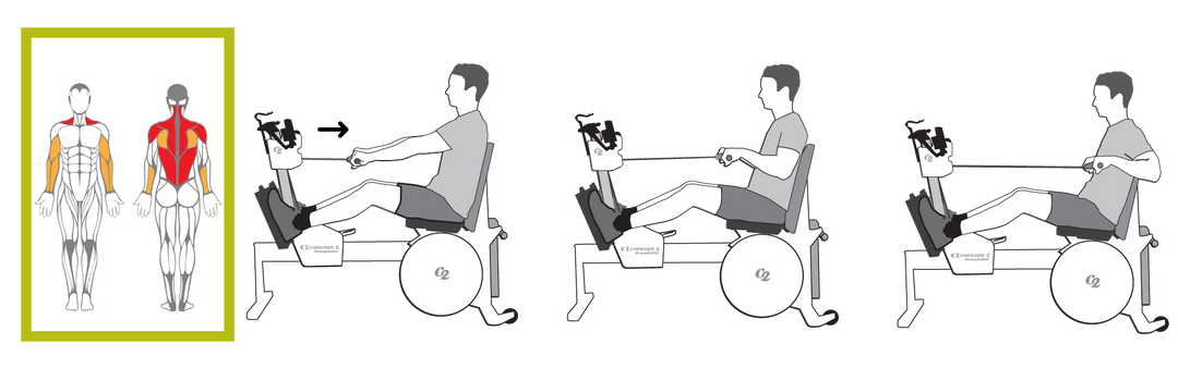 CONCEPT2 STRENGTHERG - 2800