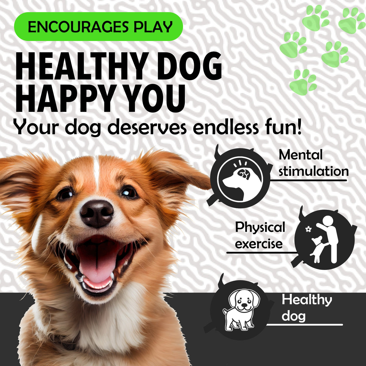 Synco Dog Football Black & White with Holding Loops | Dog Ball Size-3