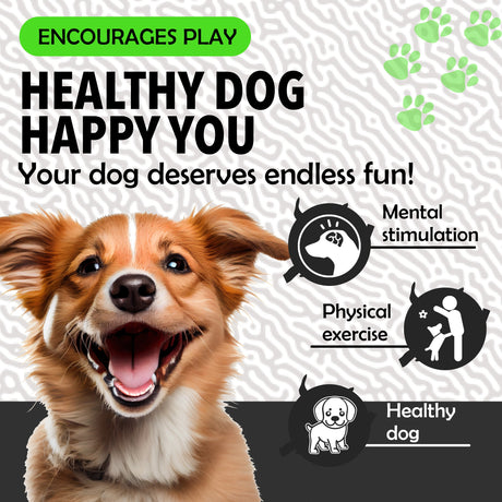 Synco Dog Football Black & White with Holding Loops | Dog Ball Size-3