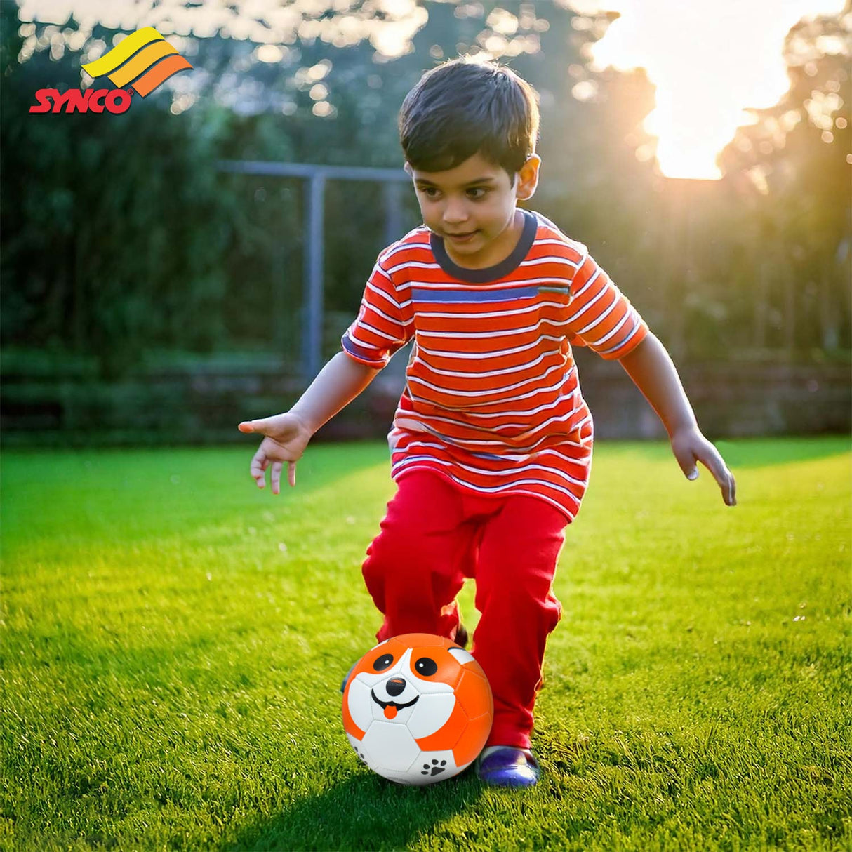 Synco Kids Football | Puppy Faced Soft PVC Material | For Indoor & Outdoor Gameplay | Size-3