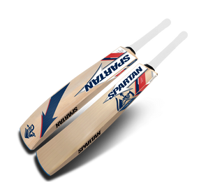 T20 Special