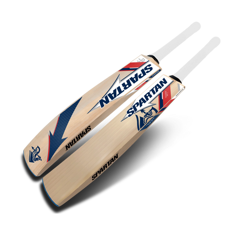 T20 Special