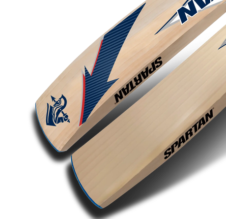 T20 Special