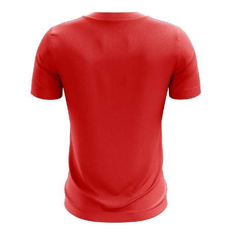 Mens Tennis T-Shirt Quick-Dry Casual Polo Shirts for Youth | Triumph