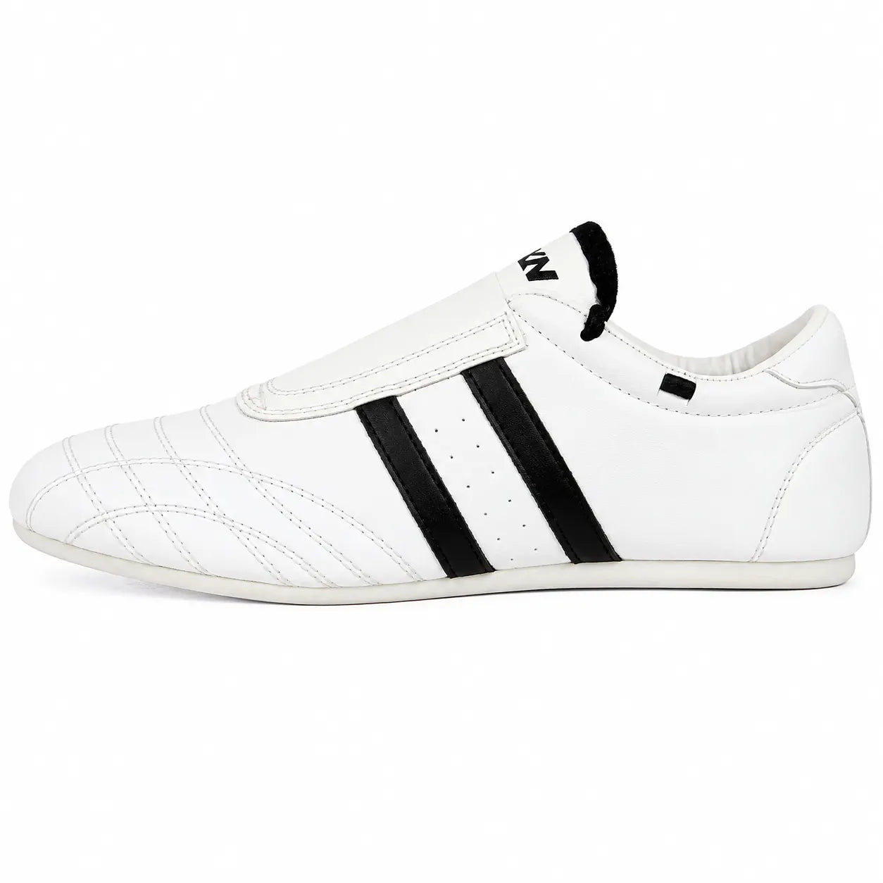 Taekwondo Training Shoes for Athletes (TS-3)