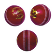 TRAINING Leather Cricket Ball | KIBI SPORTS