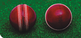 TRAINING Leather Cricket Ball - Image 2 | KIBI SPORTS