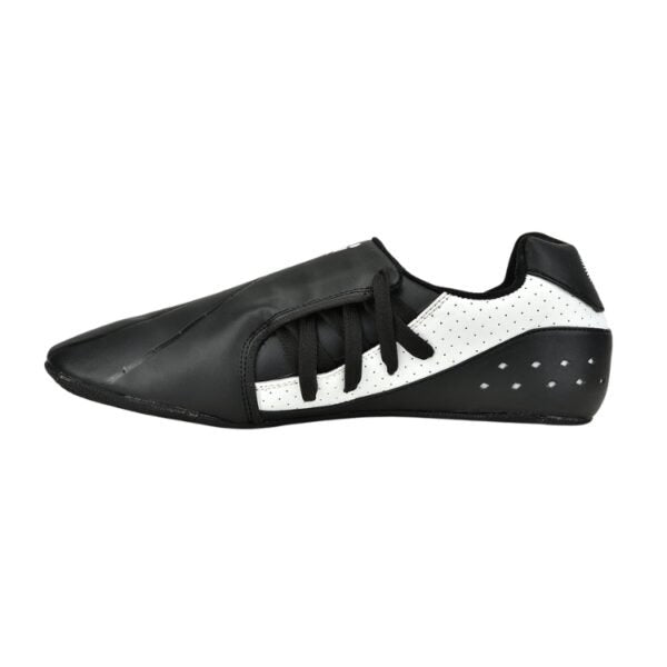 Martial Art Shoes for Men – 701M