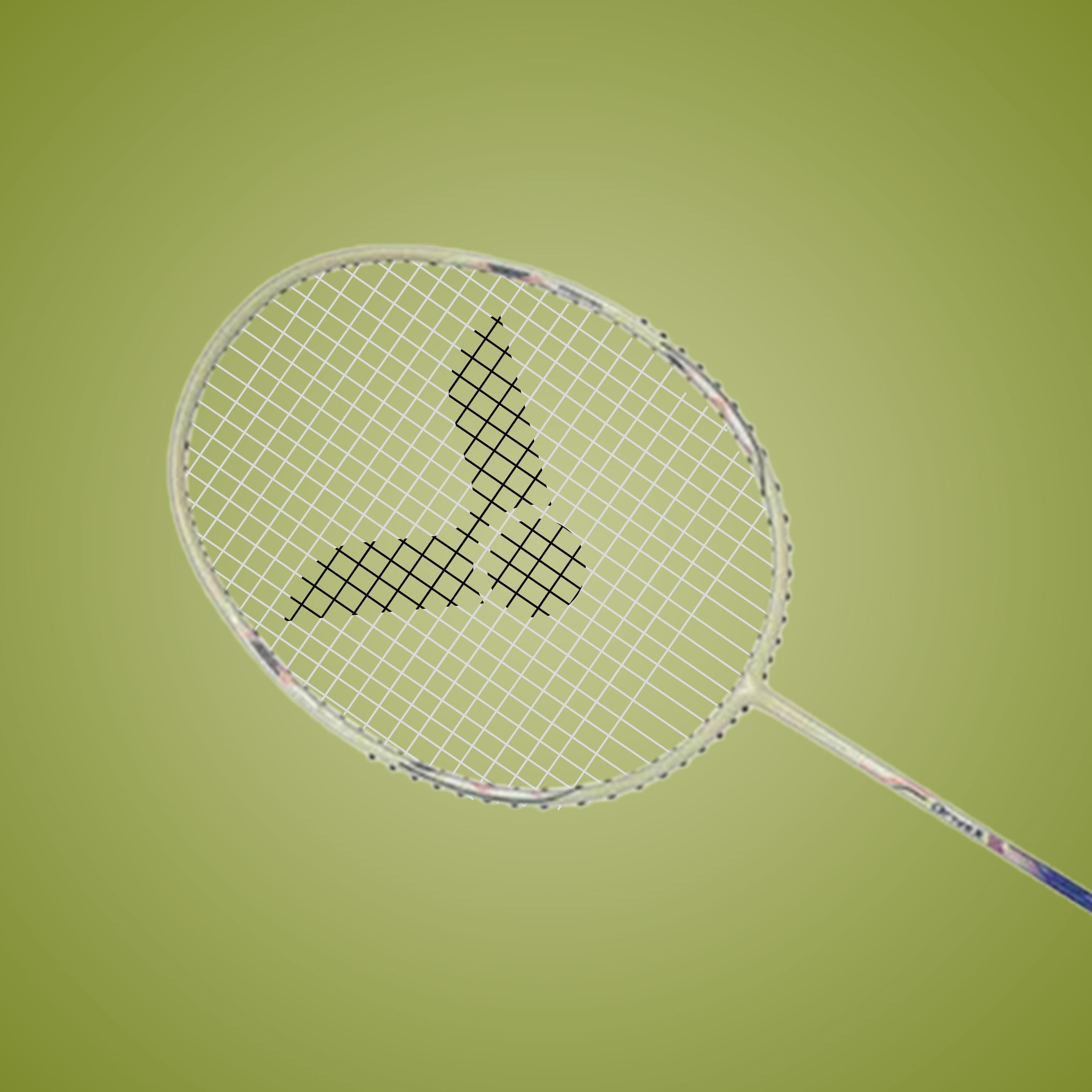 Drivex DX-1L-V Strung Professional Badminton Racket