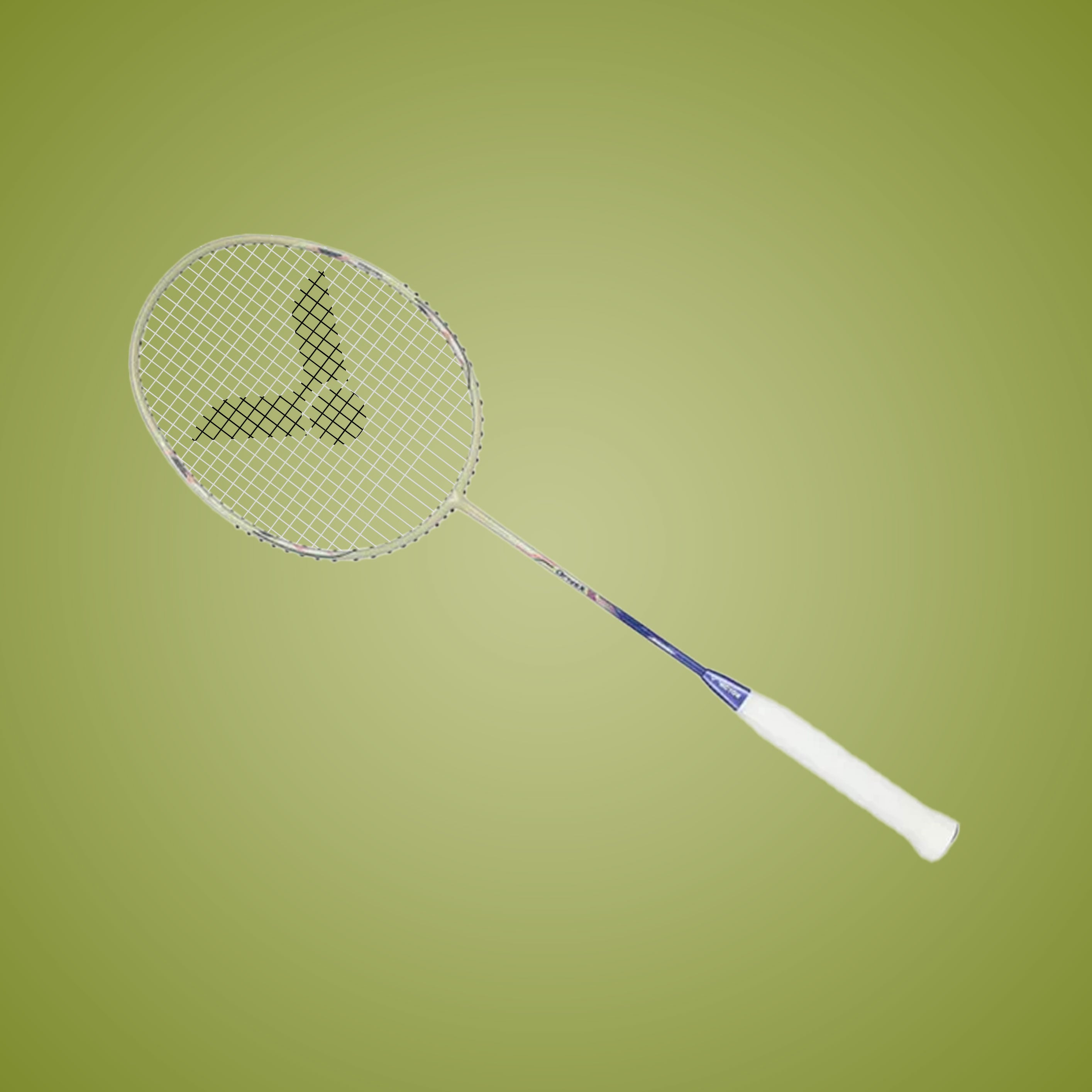 Drivex DX-1L-V Strung Professional Badminton Racket