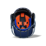 SPARTAN WARRIOR