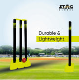 STAG Global Cricket Set | Medium Size | Complete Portable Kit with Bat, Stumps & Ball | Ideal for Kids & Beginners