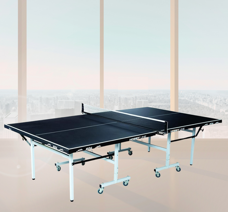 STAG GLOBAL Hobby Line 19mm Full-Size Table Tennis Table with 2 TT Rackets, 6 Balls, 1 Table Cover & Clamp Net