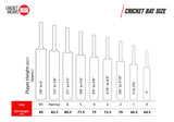 SS Dhoni Kashmir Willow Cricket Bat | KIBI SPORTS