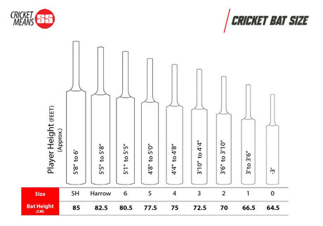 SS R-7 Kashmir Willow Cricket Bat | KIBI SPORTS SS