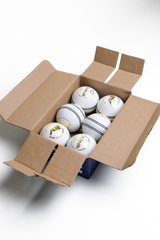 4 Piece Leather Cricket Ball - Verve White (Box of 6 balls)