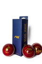 4 Piece Leather Cricket Ball Set - T20 Red | Box of 3