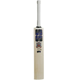 SS Devil (Blue) Kashmir Willow Cricket Bat | KIBI Sports