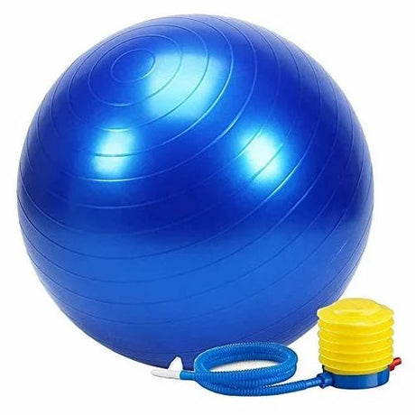 Anza GYM Ball | KIBI SPORTS