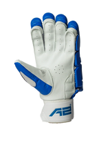 Cricket Batting Gloves - Blue & Red