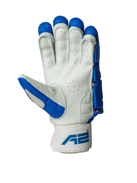 Cricket Batting Gloves - Blue & Red