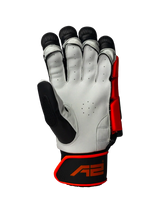 Cricket Batting Gloves - Black & Red