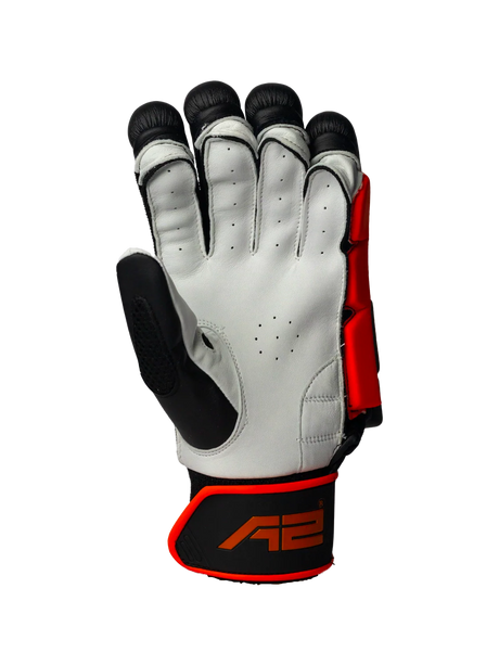Cricket Batting Gloves - Black & Red