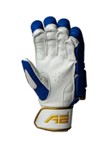 Cricket Batting Gloves - Gold & Blue