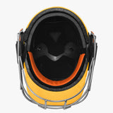 Empra Titanium Cricket Helmet