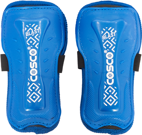Cosco BEAST