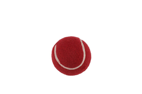 SS Mini Cricket Set | KIBI Sports
