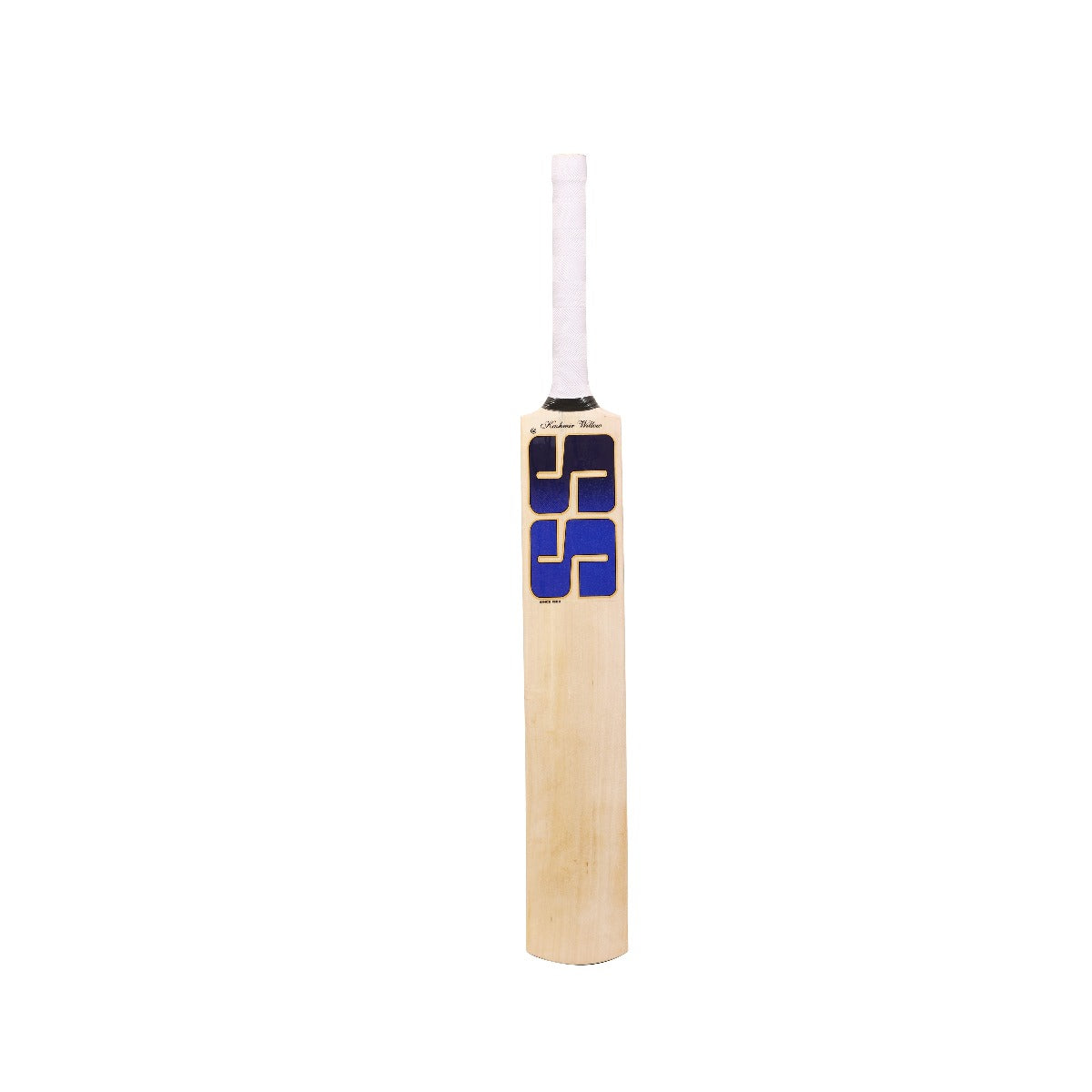 SS Player Jumbo Kashmir Willow Cricket Bat | KIBI Sports