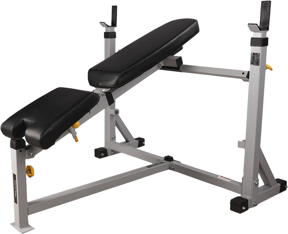 CSB 120i Olympic FID Bench - Muscle | KIBI Sports Cosco